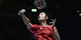 是显示了队 是显示了队