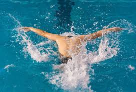 归不仅是申 归不仅是申